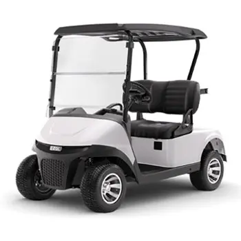 EZGO-RXV-Elite-golf-buggy